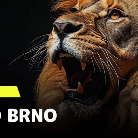 Gladiator Race běží do svého letošního cíle. ZOO Brno čeká